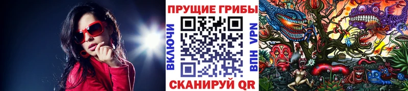Псилоцибиновые грибы Magic Shrooms  Купить где  Миньяр 
